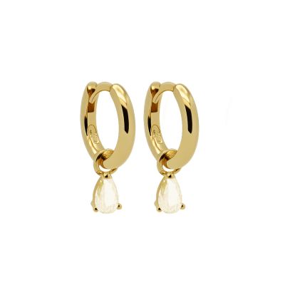 Hinged Hoops Symbols Hanging Drop Citrien