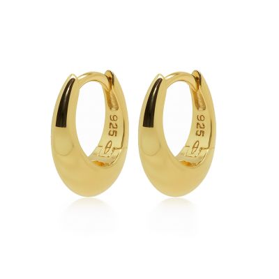 Hinged Hoops Symbols NIA