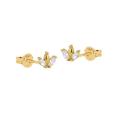 Zirconia Symbols Yse