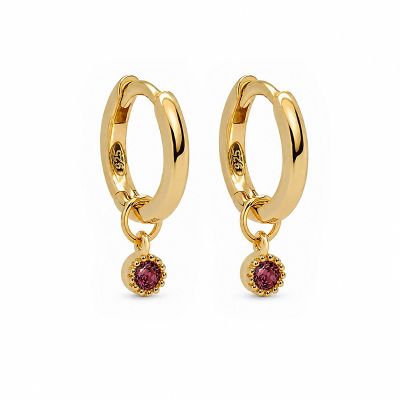Hinged Hoops Symbols Dotty Zirconia Wine Red 