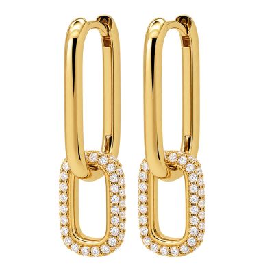 Hinged Hoops Zirconia Densely