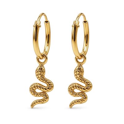 Hoops Symbols Snake