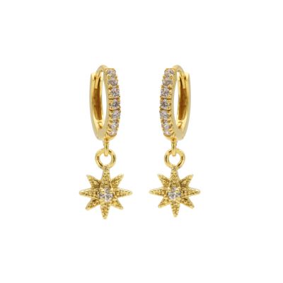 Hinged Hoops Zirconia Morningstar