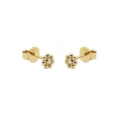 Zirconia Symbols Flora