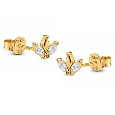 Zirconia Symbols Yse