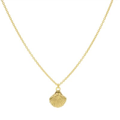 Necklace Shell
